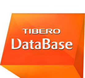 TMaxSoft Tibero (лицензия RDBMS), Standard Edition User
