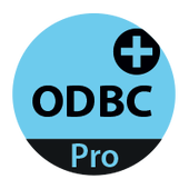 4D ODBC Professional Expansion 15