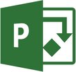 Microsoft Project Professional 2021