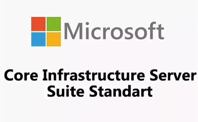 Microsoft Core Infrastructure Server Suite Standard (Software assurance, Microsoft Qualified Open License), 16 cores Single Language