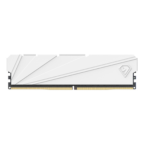 Оперативная память Netac DDR4  8GB, NTSSD4P36SP-08W, RTL