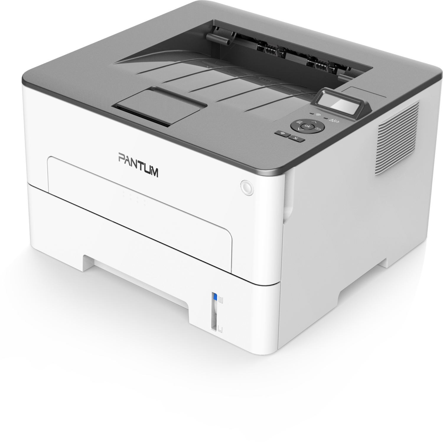 PANTUM P3010DW