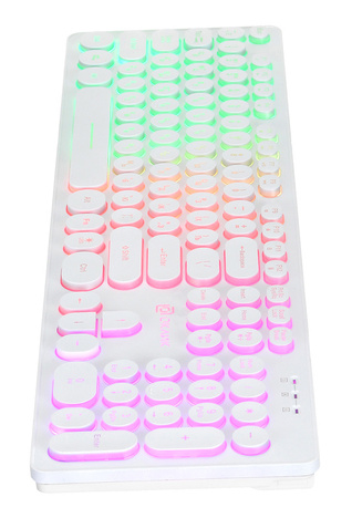 Клавиатура Oklick KeyBoard 420MRL 1091227, цвет белый