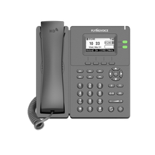 IP-телефон Flyingvoice P20 (P/G)