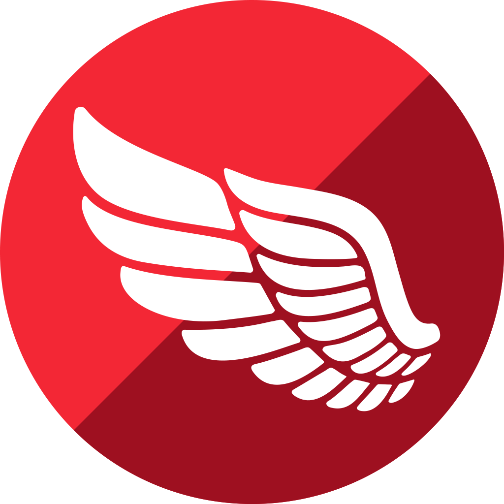 Embarcadero RAD Server