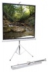 

Экран Screen Media Standart Apollo-T