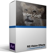 RE:Vision Effects Video Gogh