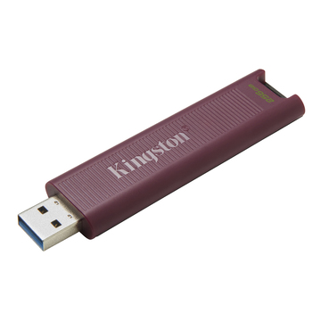 Флешка Kingston DataTraveler Max 256Gb
