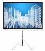

Экран Cactus Triscreen CS-PST-104X186