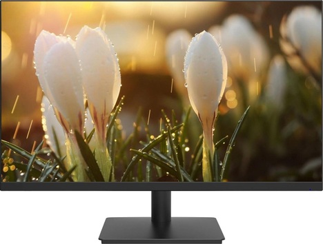 Монитор Dahua LM24-A201A 23.8-inch черный