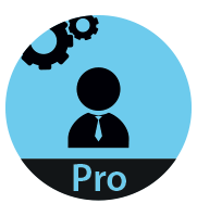 4D Developer Professional 15