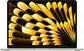 Ноутбук Apple MacBook Air 2025 (M4) 13-inch Apple M4 (золотистый)