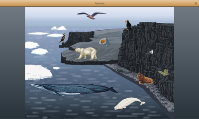 OC3 ОСӠ, Конструктор природных сообществ 1.2 (электронная лицензия на 1 рабочее место на 5 лет),