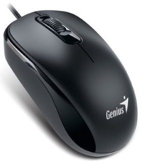 

Мышь GENIUS DX-110 31010116106, цвет черный