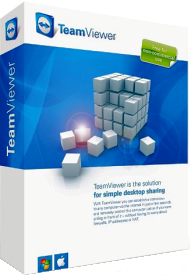 TeamViewer GmbH TeamViewer (лицензия с полным пакетом бухгалтерских документов), Corporate 11