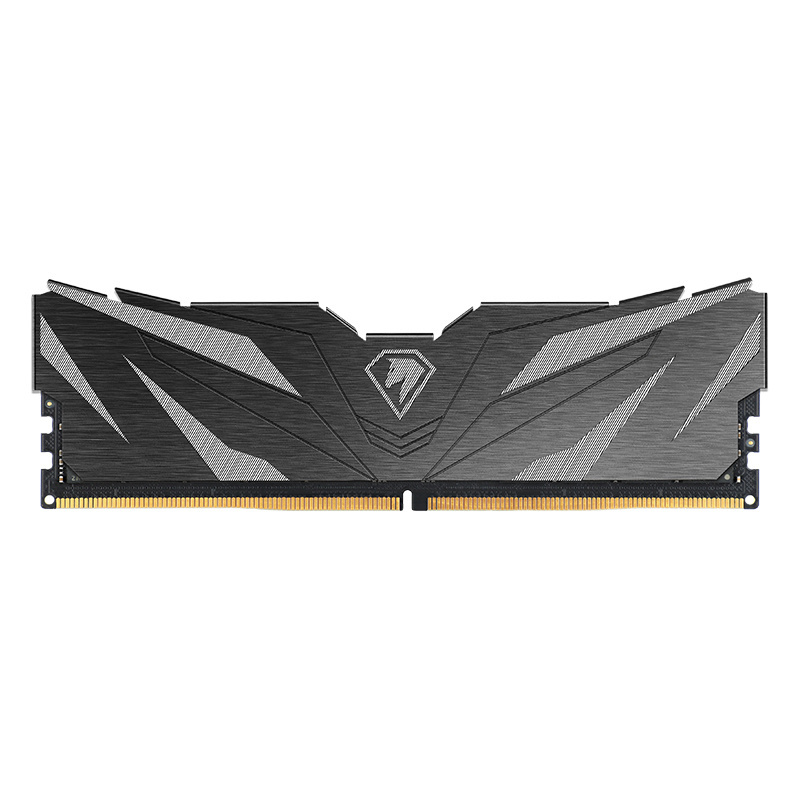 Оперативная память Netac DDR5  16GB, NTSWD5P60SP-16K