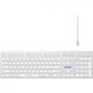 Клавиатура A4tech Fstyler FBX50C WHITE, цвет белый
