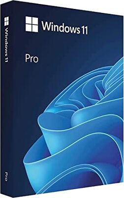 Microsoft Windows Professional 11, Электронная лицензия