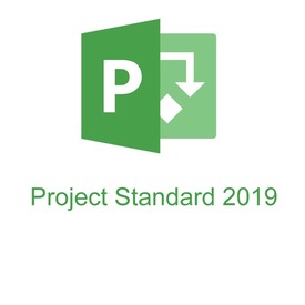 Microsoft Project Server 2019 (для государственных организаций: Лицензия Open License), English OLP C