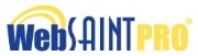 SAINT Corporation WebSAINT PRO (подписка ),