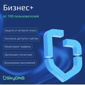 SkyDNS.Бизнес +