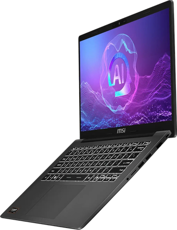 Ноутбук MSI F3HMG AMD Ryzen AI 5 330 (серый)