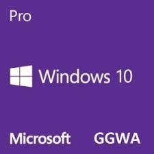 

Microsoft Windows 10 Pro (GGWA)