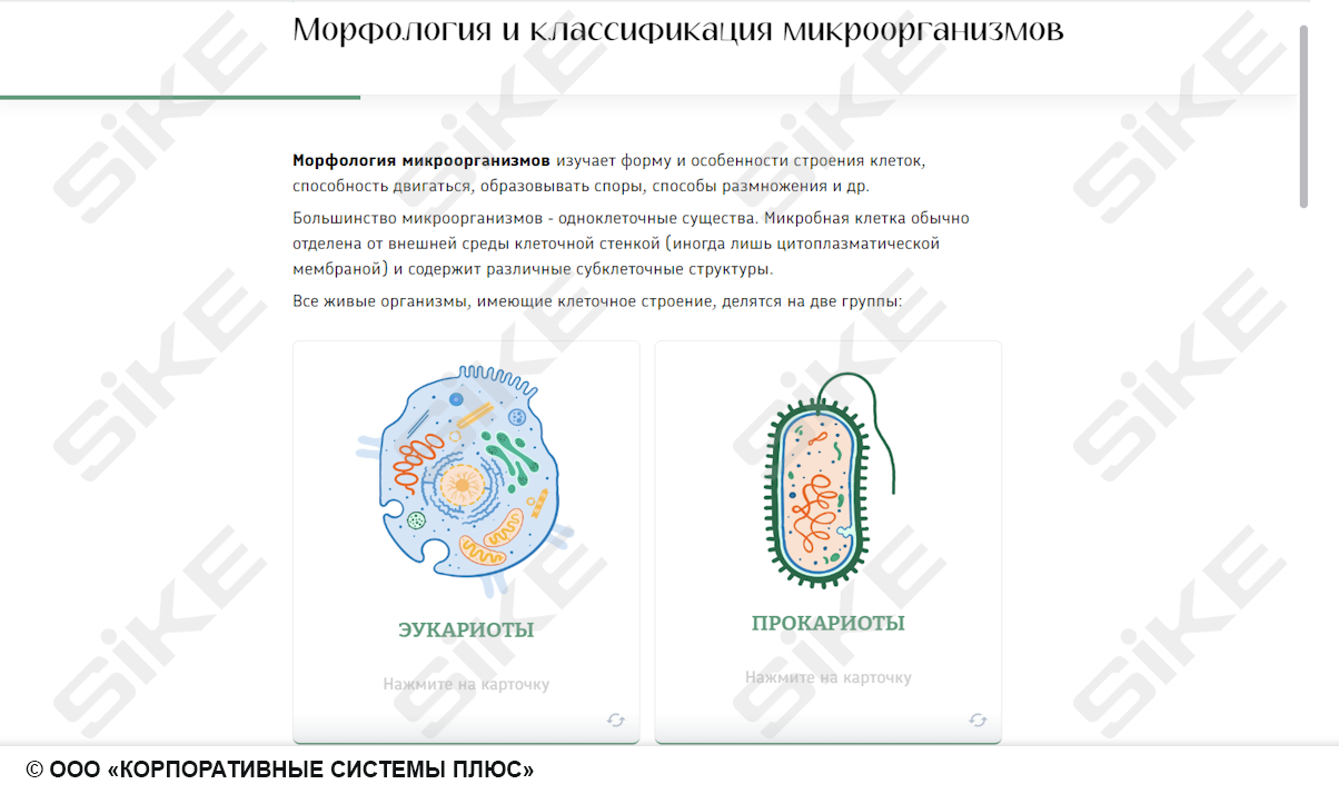 Sike. Электронный курс «Общая микробиология ГЛАВА 1. Морфология и классификация микроорганизмов»