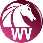 AKVIS Watercolor Video