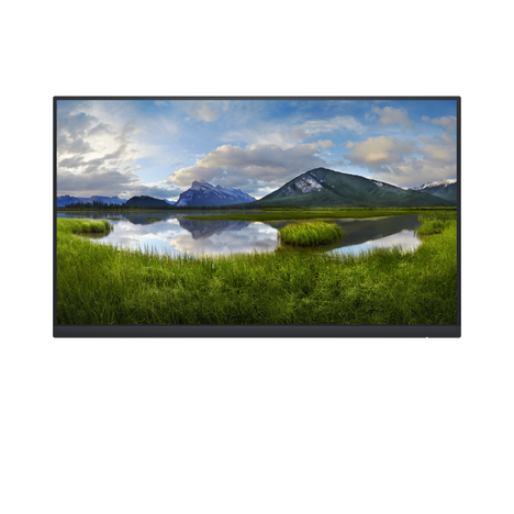 Монитор Dell Technologies P2422HE 23.8-inch черный