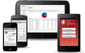 Webroot Inc. Webroot SecureAnywhere Business Mobile Protection (лицензия на 1 год),