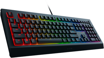 Razer Cynosa V2 RZ03-03400700-R3R1