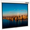 

Экран Lumien Master Picture LMP-100102