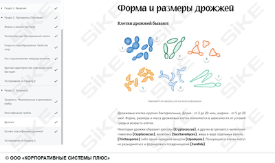 ООО «Корпоративные системы Плюс» Электронный курс Общая микробиология ГЛАВА 1, Морфология и классификация микроорганизмов (лицензия), базовая версия
