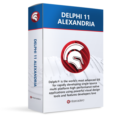 Embarcadero Delphi (лицензии Professional), Лицензия Network Named