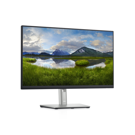 Монитор Dell Technologies P2422HE 23.8-inch черный