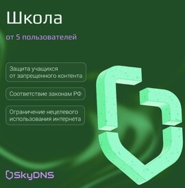 SkyDNS.Школа (тариф на 3 года), 20 ПК