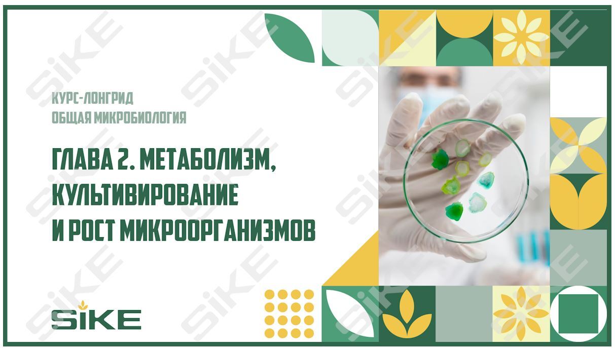 Sike. Электронный курс «Общая микробиология ГЛАВА 2. Метаболизм, культивирование и рост микроорганизмов»
