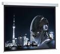 

Экран Cactus Wallscreen CS-PSW-128X170