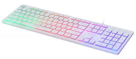 Клавиатура Oklick KeyBoard 550ML 1061618, цвет белый