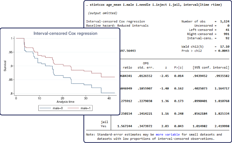Stata 19 для академических организаций