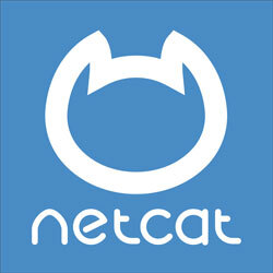 NetCat (лицензия), Версия Business