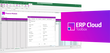 More4apps ERP Cloud Toolbox