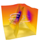 COMSOL Group Floating Network, Floating Network