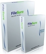ByStorm FileSure Defend Windows