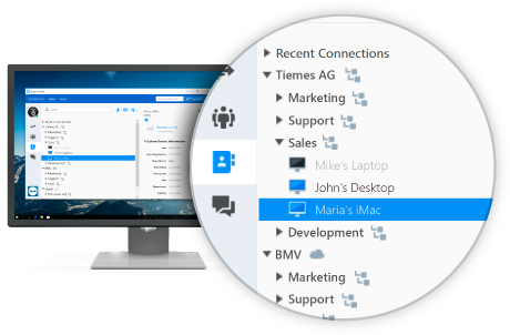 TeamViewer GmbH TeamViewer (лицензия с полным пакетом бухгалтерских документов), Corporate 11