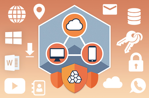 ElcomSoft Co.Ltd Elcomsoft Premium Forensic Bundle (лицензия, включающая EDPR), новая лицензия на 20 агентов для конечного пользователя на 3 года