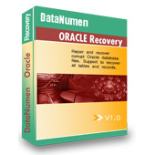 DataNumen Oracle Recovery 1.0