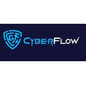 CyberFlow для сайта