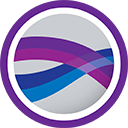 Golden Software Surfer 19 (техподдержка академической лицензии Education на 1 год), Single User (Price per License)